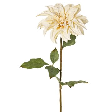 Dekorativní jiřina PHILLIPPA, Eco Collection, krémově žlutá, 65cm, Ø15cm
