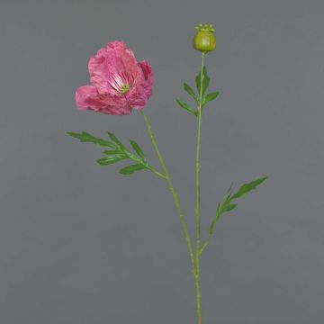 Dekorativní mák EDESSA, tmavě růžový, 80cm