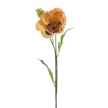Dekorativní mák EDESSA, broskvově oranžový, 80cm