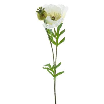 Dekorativní mák EDESSA, bílý, 80cm
