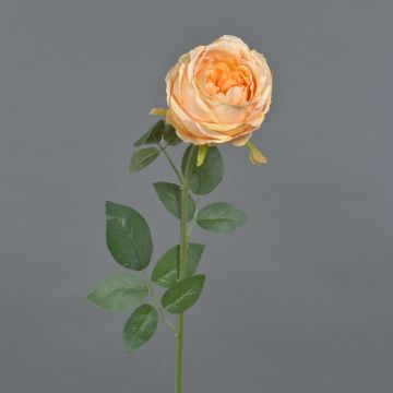 Umělá květina růže THYRI, broskvová, 65cm