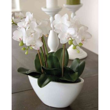 Art Phalaenopsis orchidej JASMIN v keramické misce, bílá, 40cm