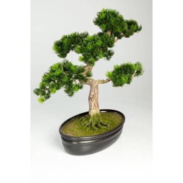Umělý strom bonsai pínie MELDIN, s kořeny, v květinové míse, 40cm