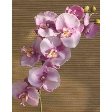Umělá orchidej dendrobium phalaenopsis RICKY, růžová, 105cm