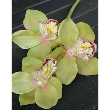 Umělá větvička orchideje cymbidium SERAPHINA, zeleno-růžová, 45cm