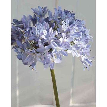 Textilní okrasná lilie AKALI, modrofialová, 100cm