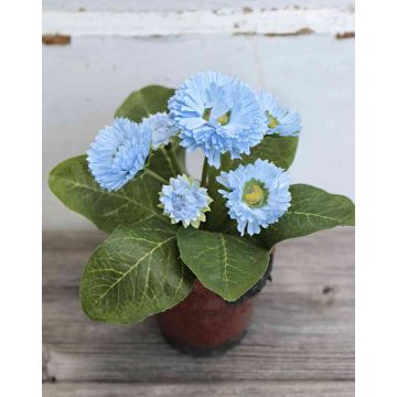 Umělá kopretina MORGANA, terakotový květináč, světle modrá, 15cm, Ø2-4cm