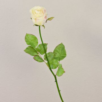 Umělá růže OPHELIE, krémově růžová, 85cm, Ø7cm