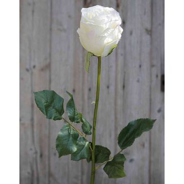 Umělá růže OPHELIE, krémově růžová, 85cm, Ø7cm