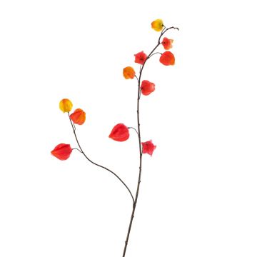 Umělá větev physalis MARCY, plody, červeno-oranžová, 95cm
