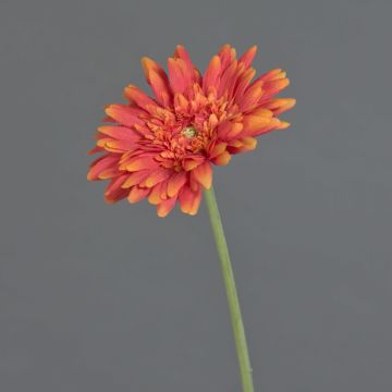Umělá gerbera AITANA, oranžová, 55cm, Ø10cm