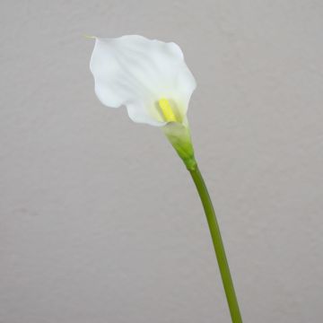 Umělá kornoutovka PEPITA, bílá, 55cm, 7x11cm
