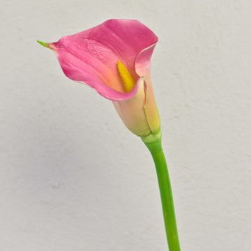 Umělá zantedeschia TALEA, růžová, 65cm, 9x11cm