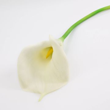 Umělá květina kornoutovka TERESA, krémová, 70cm, 10x18cm