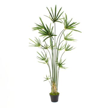 Umělá květina šáchor SASINA, zelená, 150cm