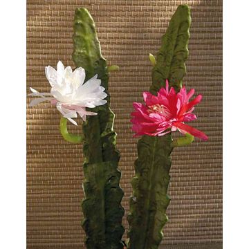Umělecká kaktusová královna noci DOMENICA, květ, růžová, 50cm