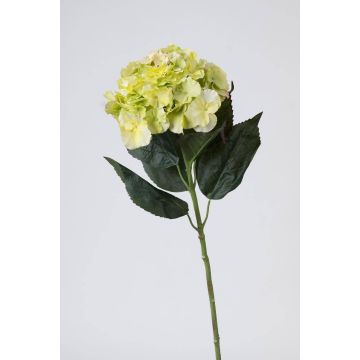 Textilní květina hortenzie ANGELINA, krémovo-zelená, 70cm, Ø23cm