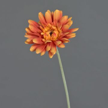 Umělá gerbera VIRGINIA, oranžová, 55cm, Ø11cm