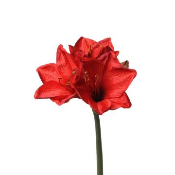 Umělá květina amaryllis BENITA, červená, 55cm, Ø10cm