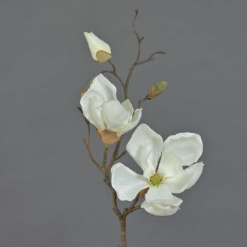 Textilní květina šácholan MALBINE, krémová, 50cm, Ø6-10cm
