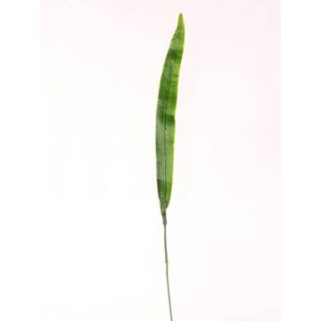 Umělý list mečíku JUNO, zelená, 40cm