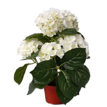 Umělá květina hortenzie TEMARI, krémová, 35cm, Ø10-12cm