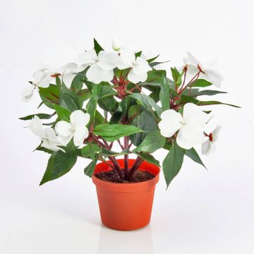 Umělá rostlina netýkavka AGENI, bílá, 25cm, Ø4-6cm