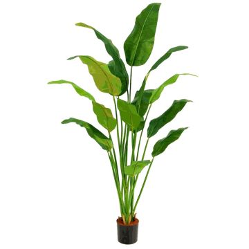 Umělá rostlina banánovníku ARTAX, 180cm