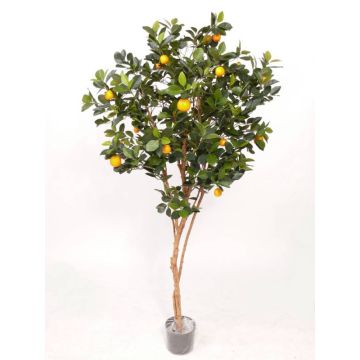 Umělý strom mandarinkovník MITRA, skutečné kmeny, s plody, 180cm