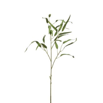 Umělá větev eukalyptu CALIK, zelená, 75cm