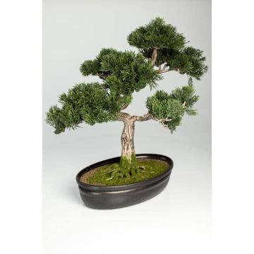 Umělý strom bonsai cedr JARNO, s kořeny, v květinové míse, 40cm