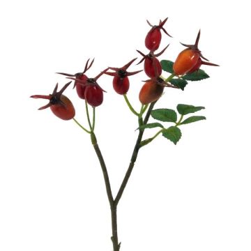 Dekorativní větvičková růže BRULFI se šípky, oranžová, 25cm