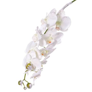 Umělá větvička orchideje phalaenopsis NALANI, zasněžený, bílá, 80cm