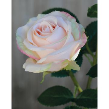 Textilní růže DELILAH, světle růžová, 55cm, Ø6cm