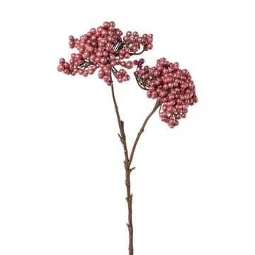 Dekorační větvička černého bezu ZORNKE, bobule, tmavě růžová, 50cm