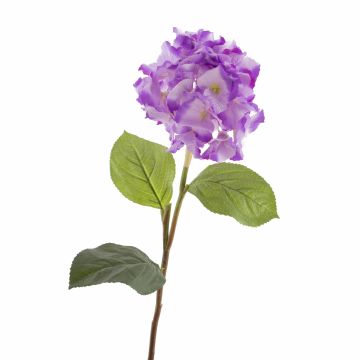 Plastová hortenzie CHANTAL, fialová, 75cm, Ø18cm