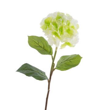 Plastová hortenzie CHANTAL, zelená, 75cm, Ø18cm