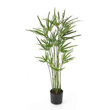 Umělá rostlina šáchor HAMADI, zelená, 80cm