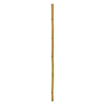Umělá bambusová tyč CHIYOKO, hnědá, 200cm, Ø5cm