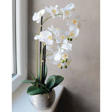 Umělá orchidej Phalaenopsis EMILIA, dekorativní hrnec, bílá, 55cm