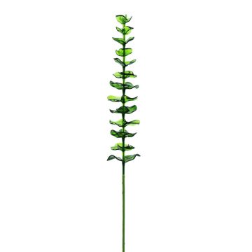 Plastová eukalyptová větev GLAUCO ve vzhledu skla, 12 kusů, zelená, 80cm