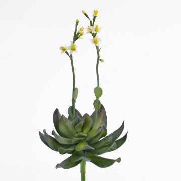 Umělý sukulent aeonium CHARLIZE s květy, se zápichem, žlutá, 30cm