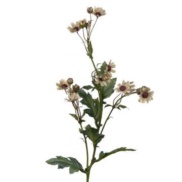 Umělá rostlina kopretina KALINKA, krémová, 75cm, Ø3-4cm