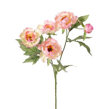 Umělá větvička pivoňky LARDUAN, Eco Collection, růžovo-bílá, 60cm, Ø7cm
