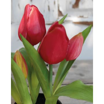 Umělý tulipán CAITLYN v ozdobném květináči, růžovo-zelený, 25cm, Ø2-6cm