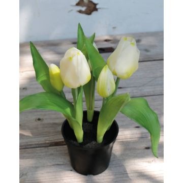 Umělý tulipán CAITLYN v ozdobném květináči, bílozelený, 25cm, Ø2-6cm
