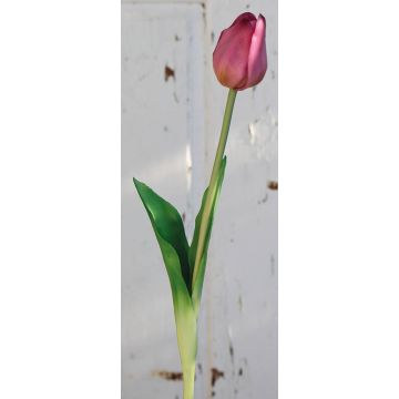 Plastový tulipán LONA, fialovo-zelený, 45cm, Ø4cm