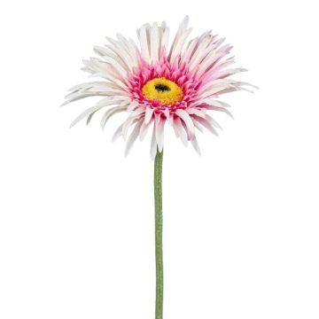 Dekorativní květ gerbery FELISY, růžovo-bílý, 65cm