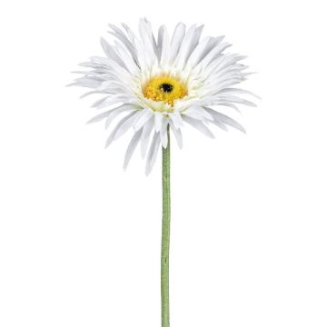 Dekorativní květ gerbery FELISY, bílý, 65cm