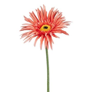 Dekorativní květ gerbery FELISY, lososový, 65cm
